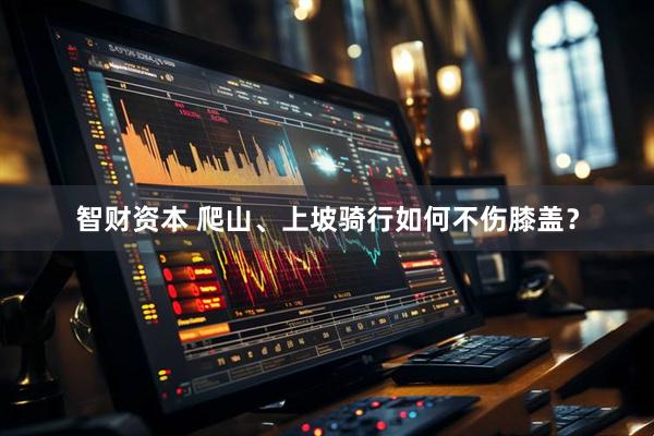 智财资本 爬山、上坡骑行如何不伤膝盖？