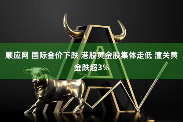 顺应网 国际金价下跌 港股黄金股集体走低 潼关黄金跌超3%